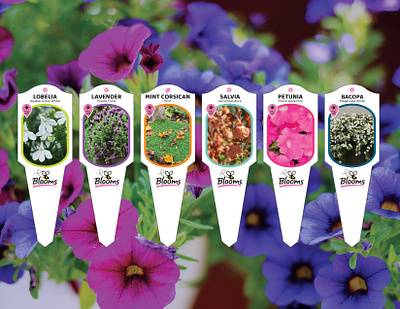 Blooms - Nursery Flower Tag Design art direction bloom branding design floral flower flowers gardening graphic design greenhouse labels layout nursery perenial plant plants series set spring tags