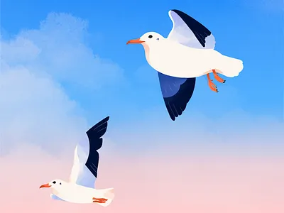 Sunset seagull drawing fly illustration procreate seagull sky sunset