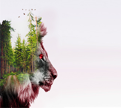 Lionheart photoshop