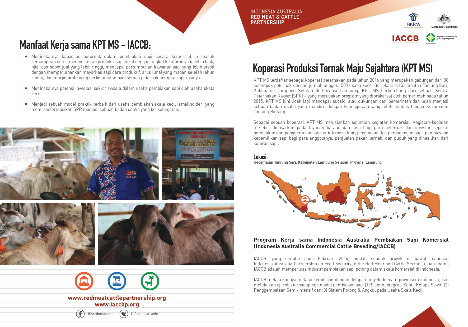 Example service media