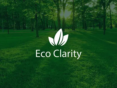 Eco Clarity Logo Design & Branding