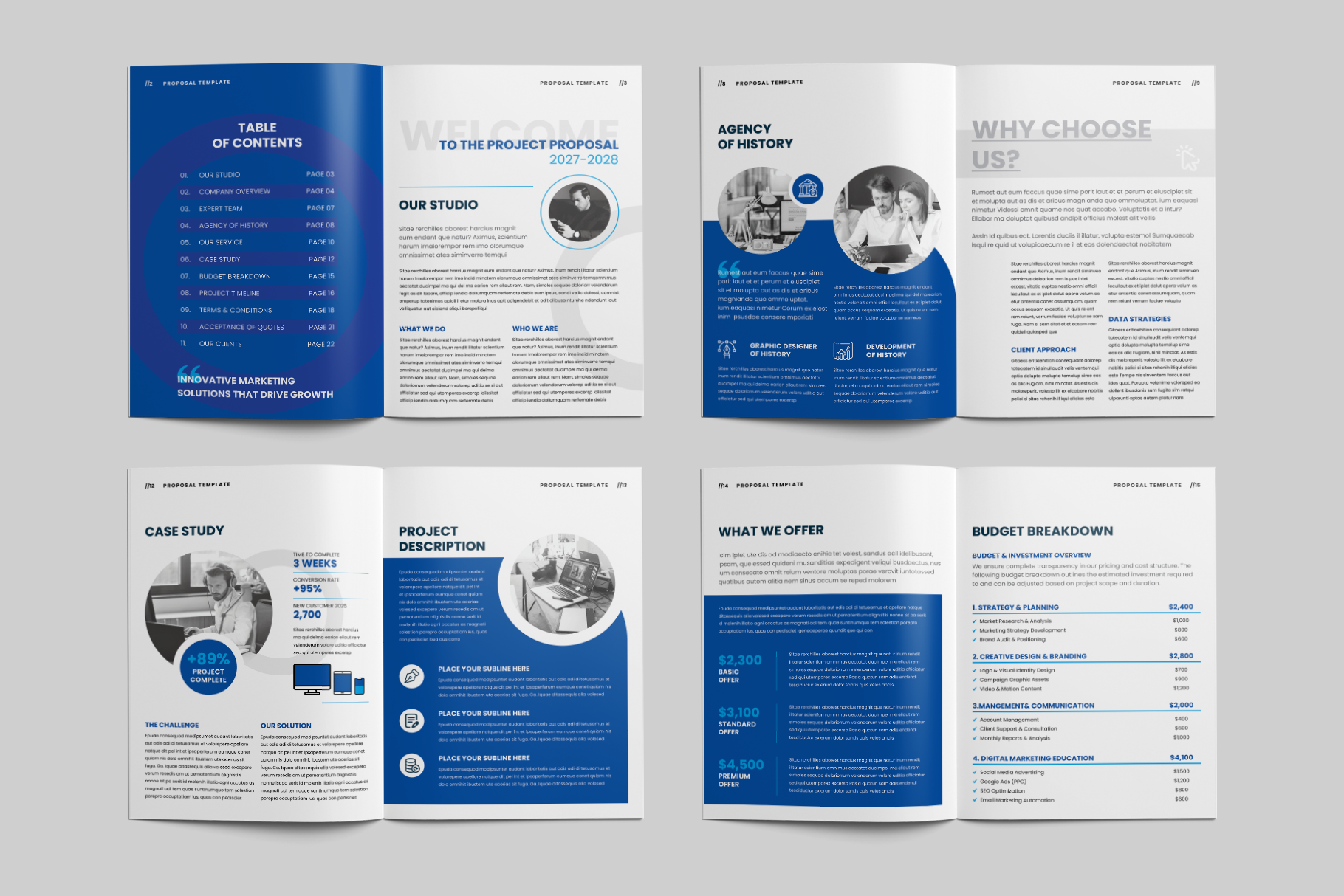 Example of Professional Proposal Template Design