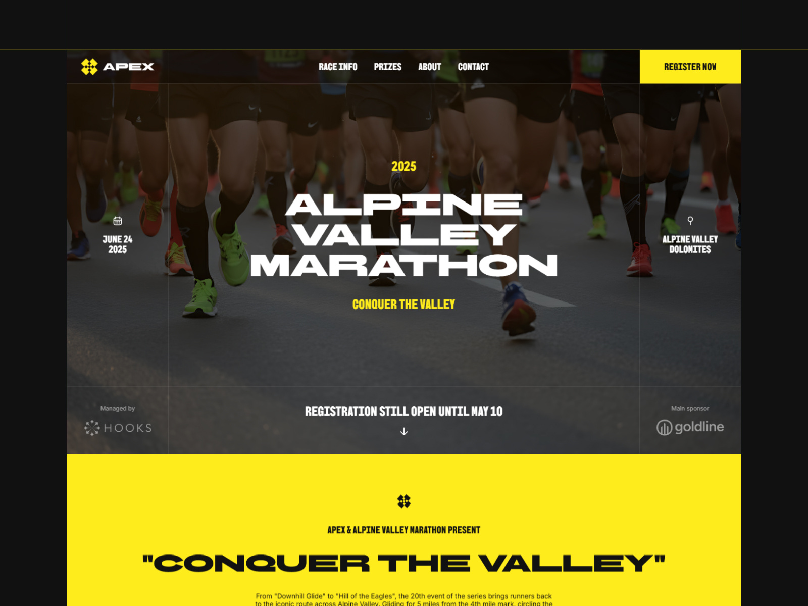 Example of Framer Landing Page Site