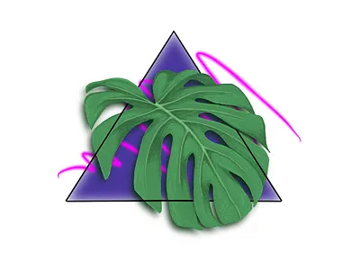 Monsterra design digital art digital drawing digital illustration illustration