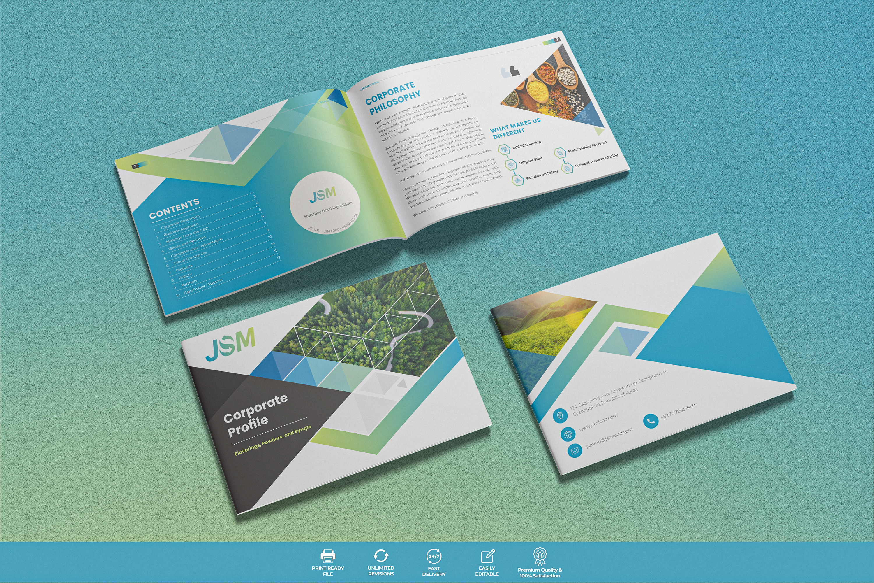 Example of Professional Company And Brochure Design