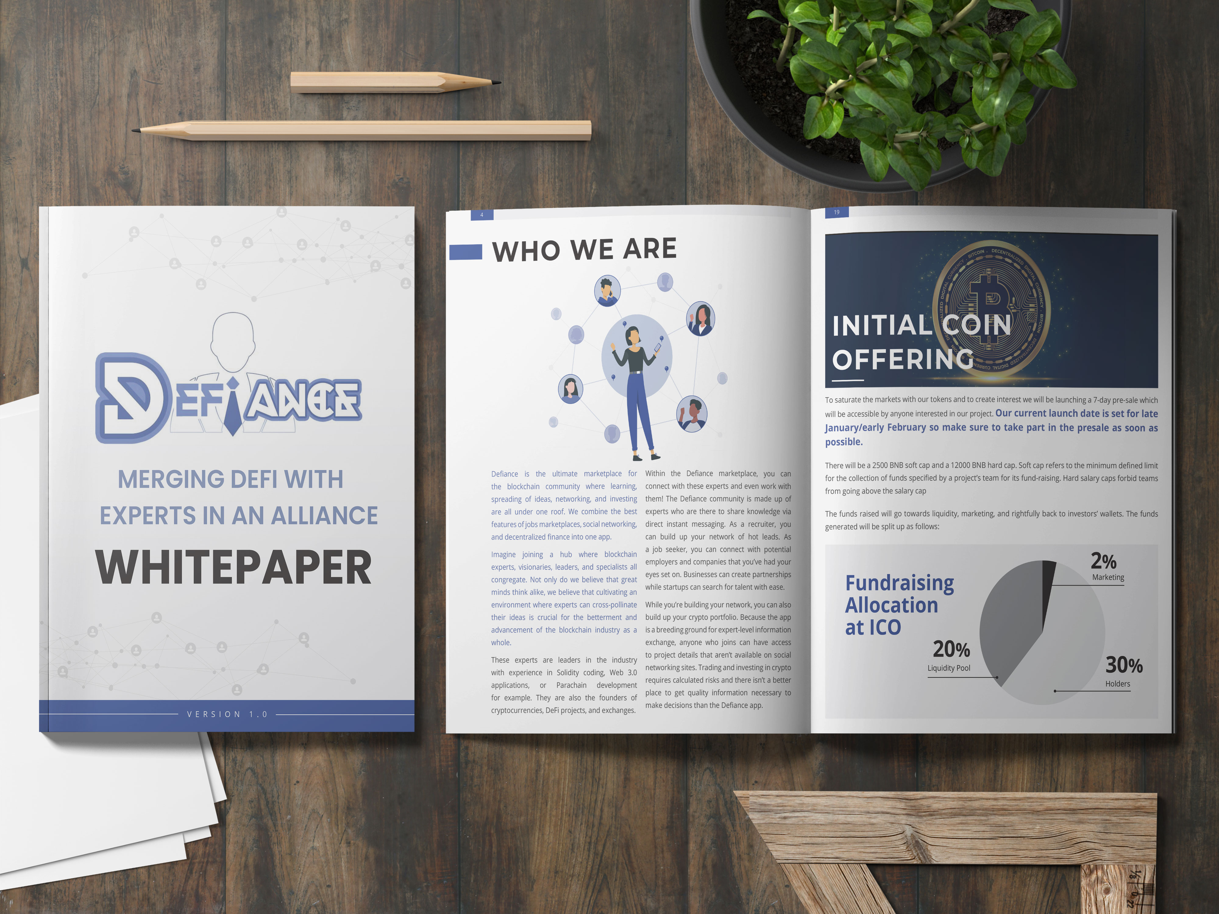 Example of Professional White Paper & Report Design