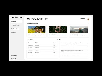 Lab Stellar | Web Design brand brand identity branding dashboard editorial grids lay out logo swiss design typography web web design website website design