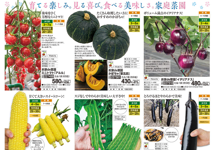 🌿 Garden Catalog Design – Fresh & Natural aestheticdesign catalogdesign designinspiration dtpdesign ecodesign freshandclean gardendesign greenaesthetic homeandgarden japanesestyle minimaldesign naturalpalette natureinspired outdoorlifestyle productcatalog sustainablestyle visualidentity