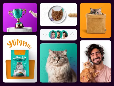Whiskit Cat Food - Branding & UI/UX branding graphic design ui