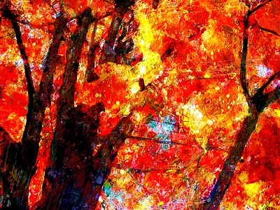 La lumière de mon monde