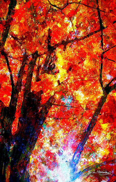 La lumière de mon monde