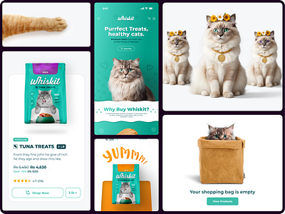 Whiskit Cat Food - Branding & UI/UX cat food graphic design ui ux web design