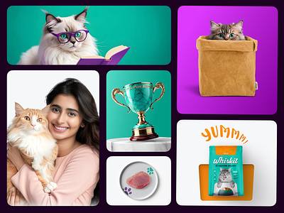 Whiskit Cat Food - Branding & UI/UX cat food graphic design ui ux