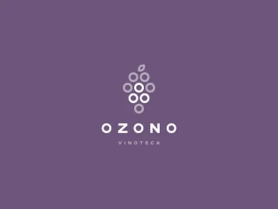 Ozono branding color palette design logo logo design