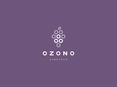 Ozono branding color palette design logo logo design