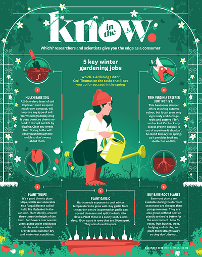 5 key winter gardening jobs (Which?) flowers garden gardening illustration infographic plants roots tulip winter