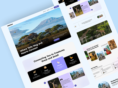 Wildnest | Zoo website design animal brand identity branding design figma graphic design icon illustration lettermark logo typography ui uiux ux website wildlifeui zoo