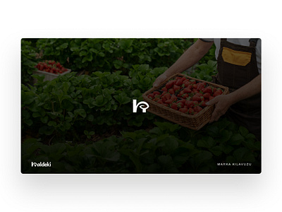 BRANDING GUIDE DESIGN adobe adobe illustrator adobe photoshop branding design figma graphic design illustration logo