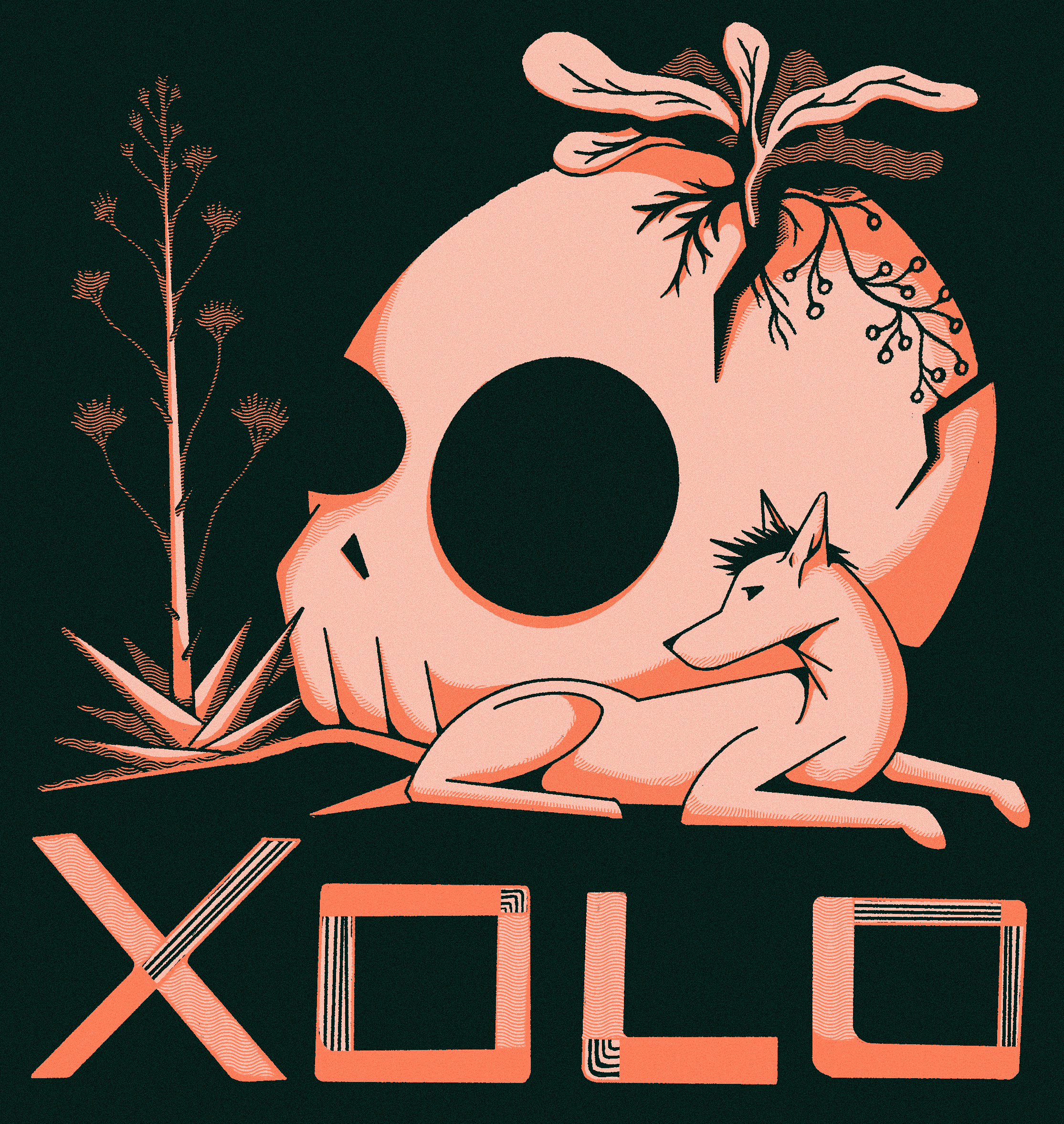 Día de Muertos dia de muertos dog illustration mexico plants skull typography weekly warm up