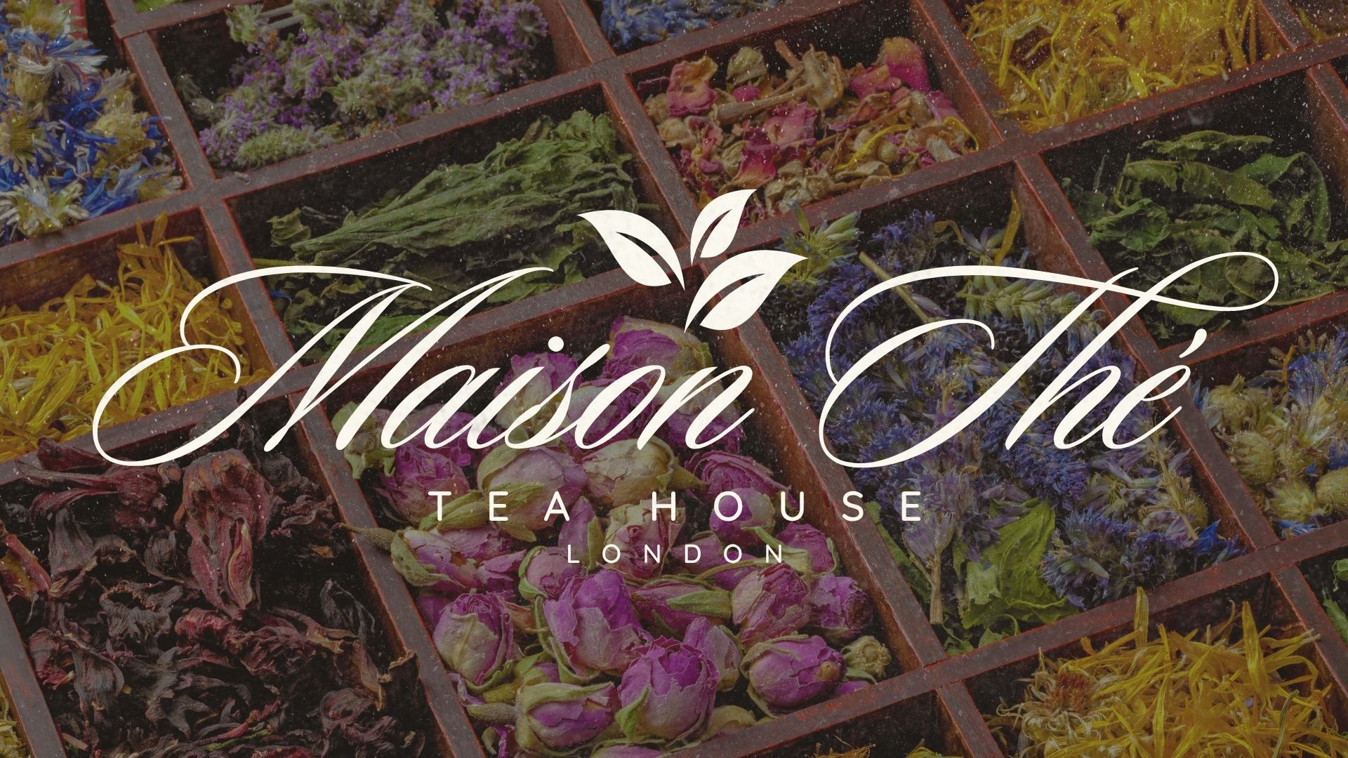 Example of Trendy Elegant Quiet Luxury Logo