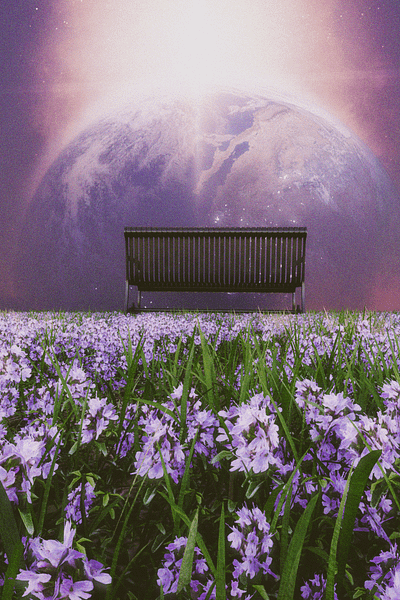 The Waiting Place 3d blender visual art