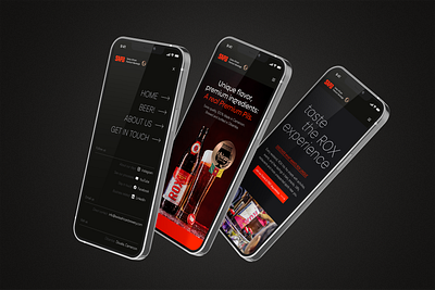 ROX & SAPB Branding africa beer branding creative design inspiration logo marketing mobile app swiss website design