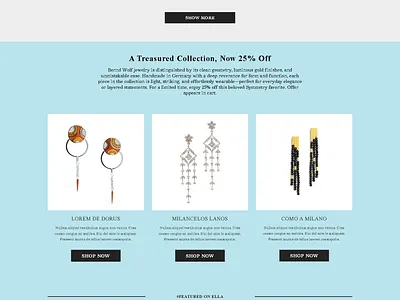 I will design,shopify store, shopify dropshipping store, shopify branding shopify shopify stor design shopify store shopify store redesign webdesign