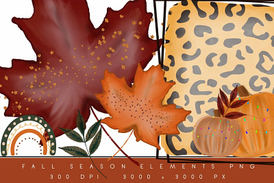 Fall Elements Set clipart design