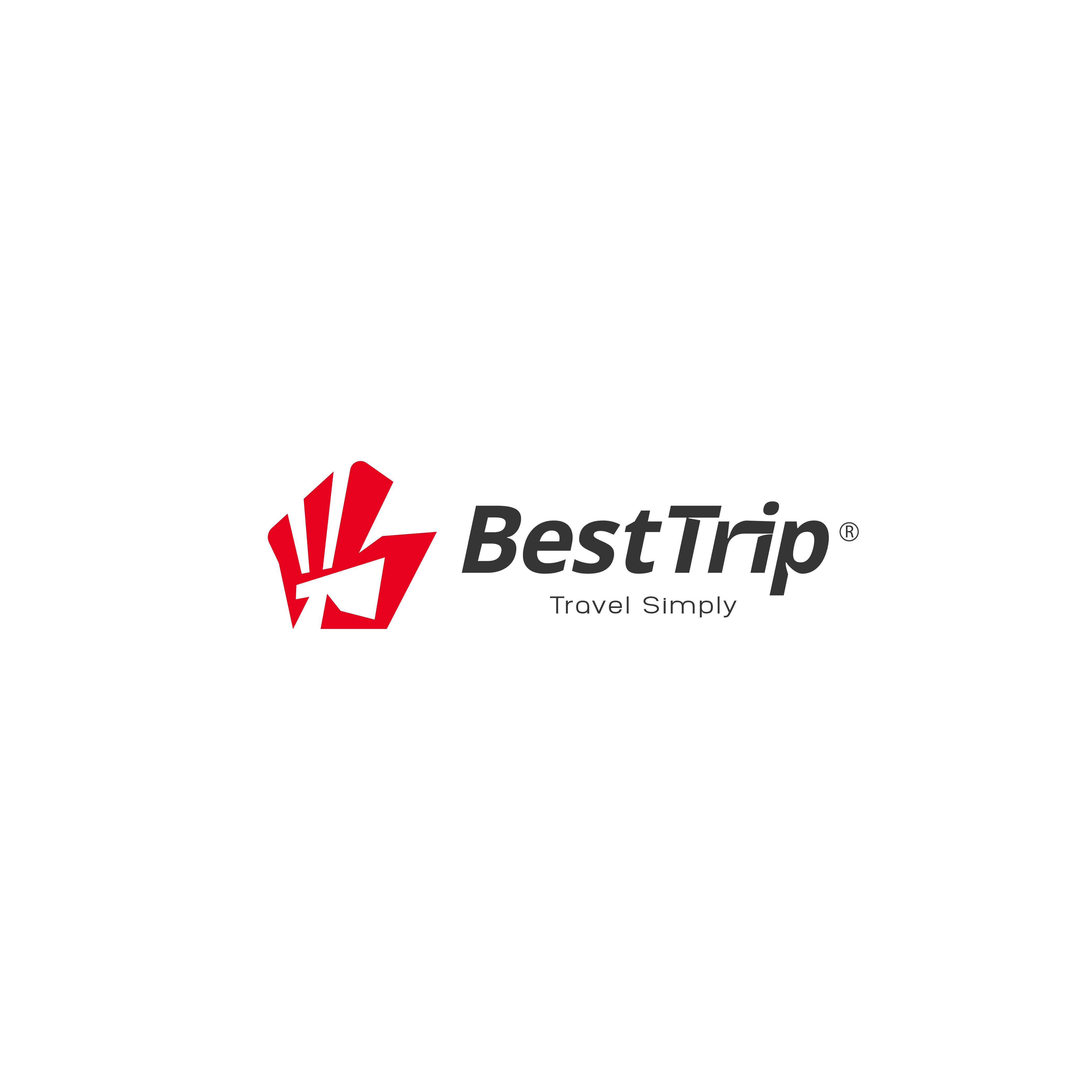 Tourism Company Logo Design attractive logo branding business logo creative logo graphic design logo design minimalist logo