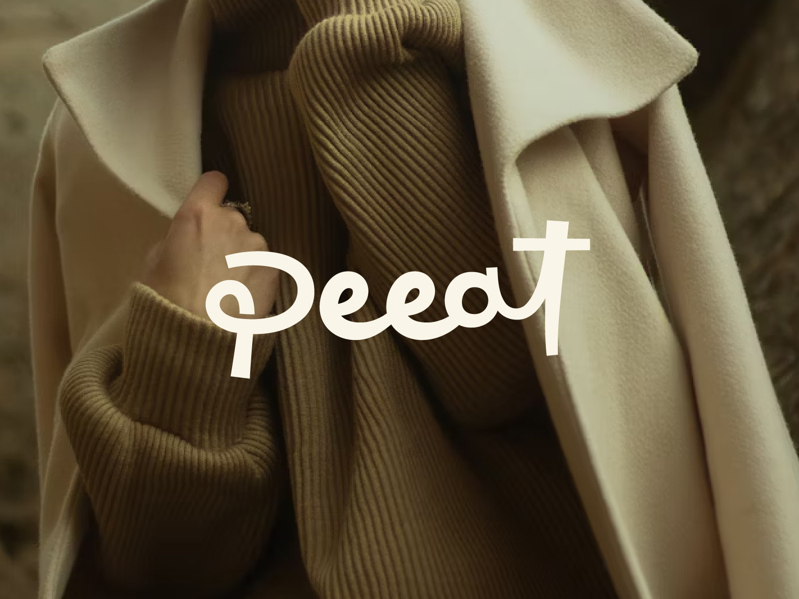 Example of Clothing Brand Wordmark Logo Design