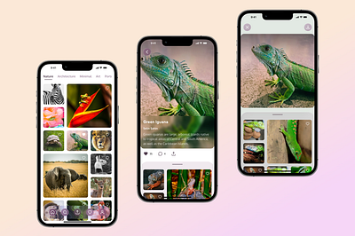 Stock Photo app animals app design explore glass glass effect iphone lizard mobile nature photo stock ui ux