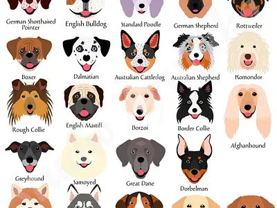set of large dogs smiling faces animal breed cartoon cute design dogbreeds dogs graphic design heads illustration set various