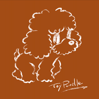 Simple sketch of a Toy Poodle walking animal character character design cute dog funny kawaii pet poodle toy poodle