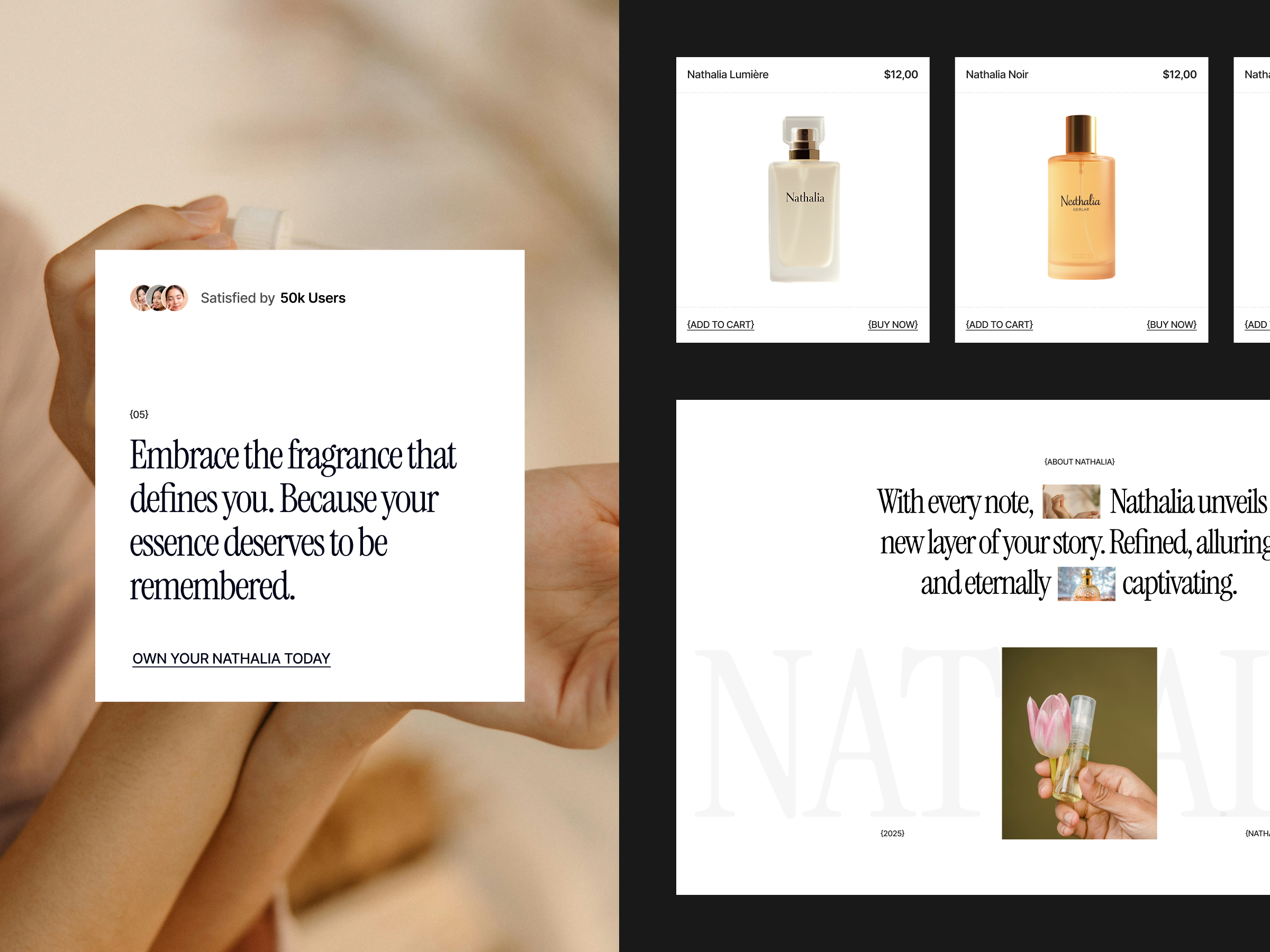 Example of Single Landing Page