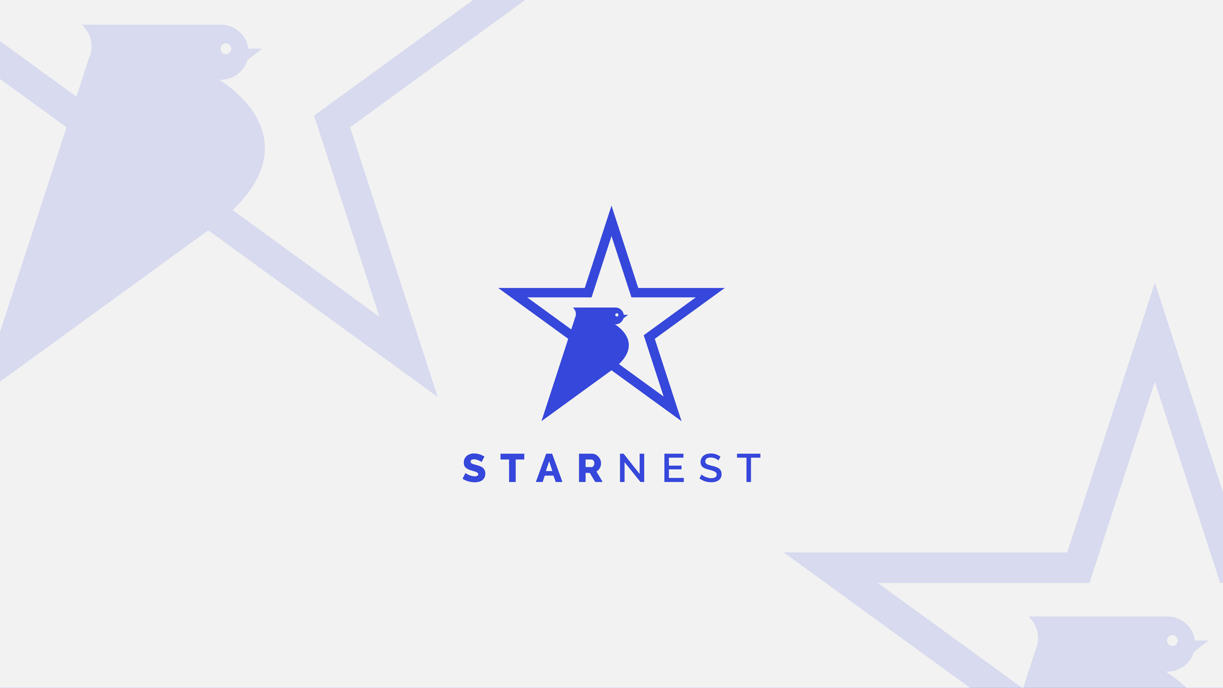 ⭐ STARNEST — Brand Identity & Logo Design abstract logo bird logo blue logo brand identity branding design clean branding corporate logo creative logo flat design geometric logo logo identity logo mark minimal branding minimal logo modern logo monogram logo professional branding star logo symbol design vector logo