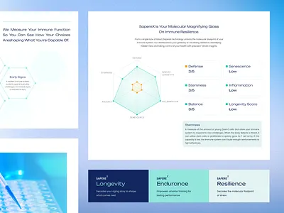 Sapere Bio - Web Landing Page application branding design flat graphic design illustration interface landing page logo science ui vector web