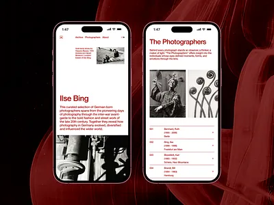 Bildraum pt.04 art direction design typography ui visual design web web design website