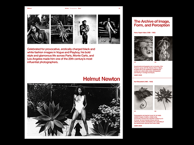 Bildraum pt.05 art direction design typography ui visual design web web design website