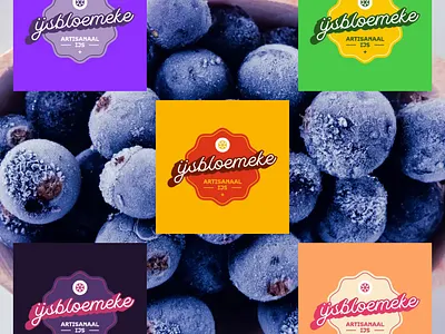 Ice cream brand belgium branding brussels design fruits graphic design ice ice cream illustration logo