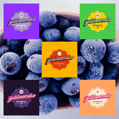 Ice cream brand belgium branding brussels design fruits graphic design ice ice cream illustration logo
