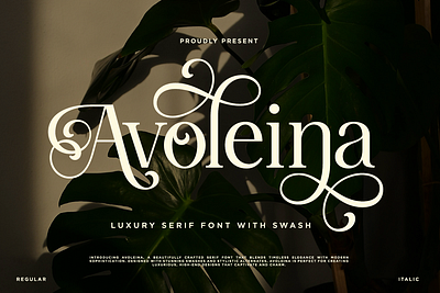 Avoleina - Luxury Serif Font With Swash display elegant font fonts luxury luxury fontt modern serif premium serif serif font swash swash font typography wedding wedding font