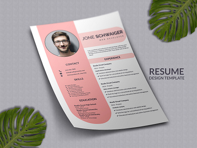 Resume Design animation branding graphic design motion graphics resume resume design resume design template resume template resumecv resumes
