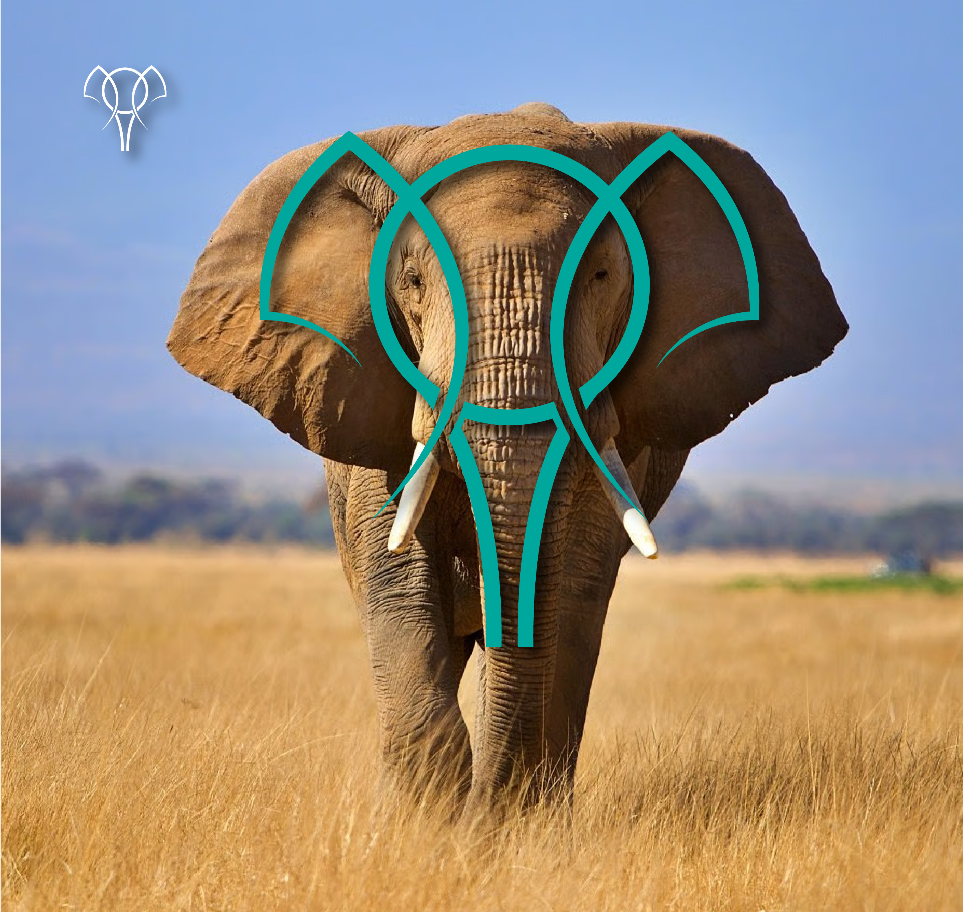 Elephant Mark Logo branding elephant graphic design illustrator logo logo designer logodesign