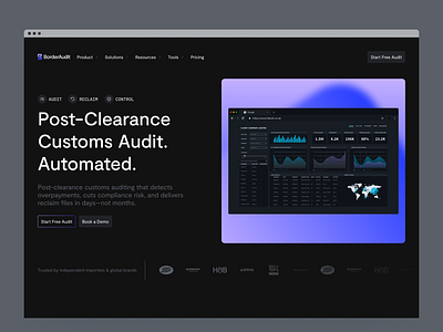 BorderAudit | Website concept app design brand branding header design logo design ui ui design ui ux ux design web concept web design web page web site website