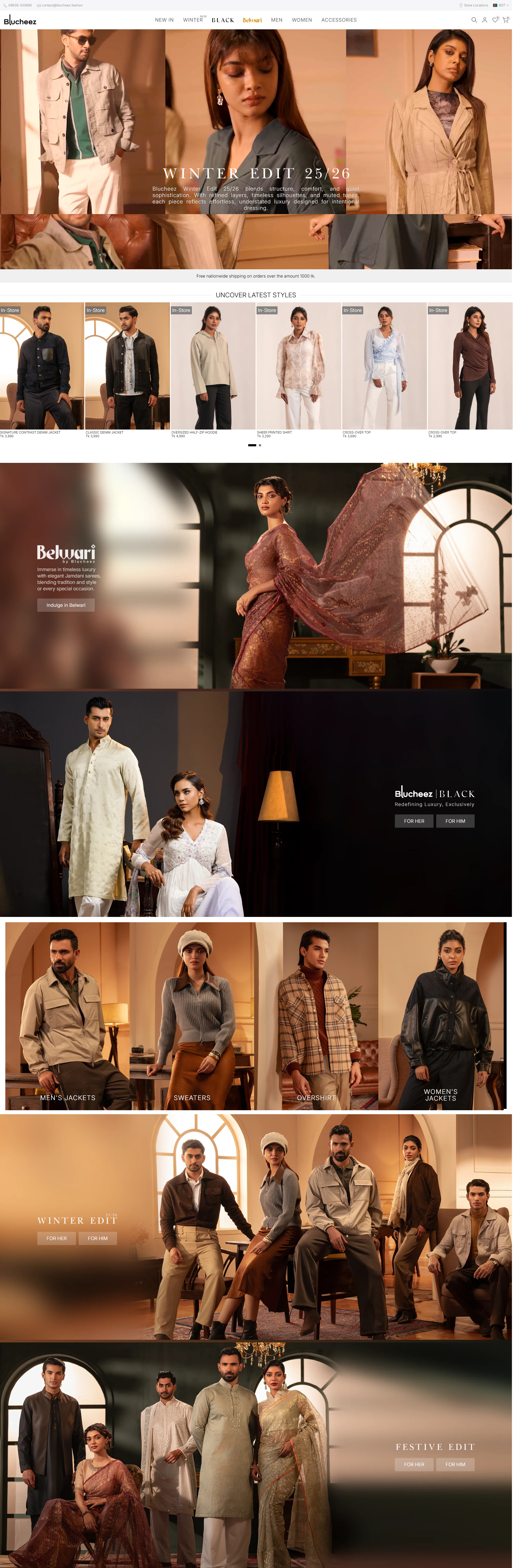 blucheez Winter 2025 branding colors design graphic design illustration ui web design