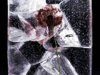 November .001 3d 3d artist 3d designer c4d cgi cinema 4d octane render