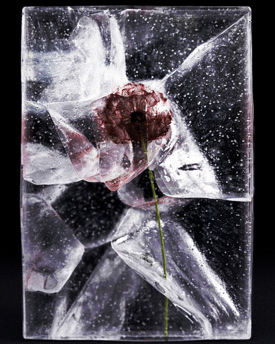 November .001 3d 3d artist 3d designer c4d cgi cinema 4d octane render