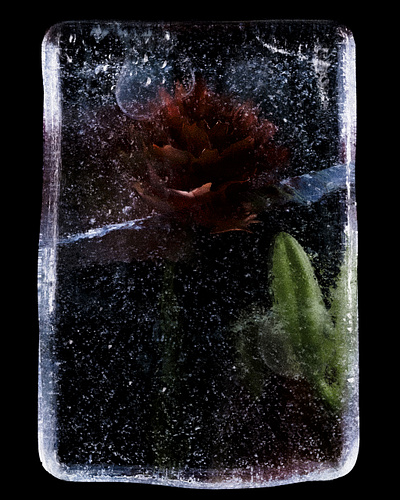 November .002 3d 3d artist 3d designer c4d cgi cinema 4d octane render