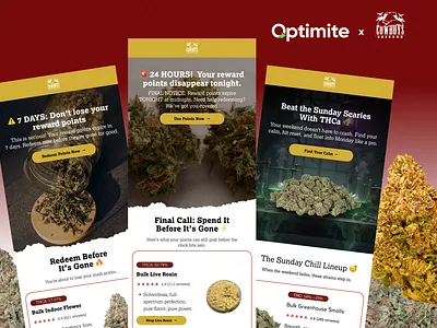 Season of Self-Care | Health & Wellness email campaigns email designs email marketing email templates emailers figma figma designs figma emails health wellness klaviyo klaviyo email markting ui ui designs