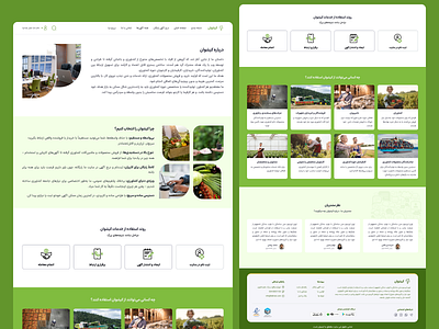 About Us Page Design_Kishvan aboutus aboutuspage agriculture brandidentity branding brandpage cleanui designinspiration greenui minimaldesign natureinspired productdesign responsive uidesign uiux uxdesign webdesign درباره ما طراحی رابط کاربری ینی